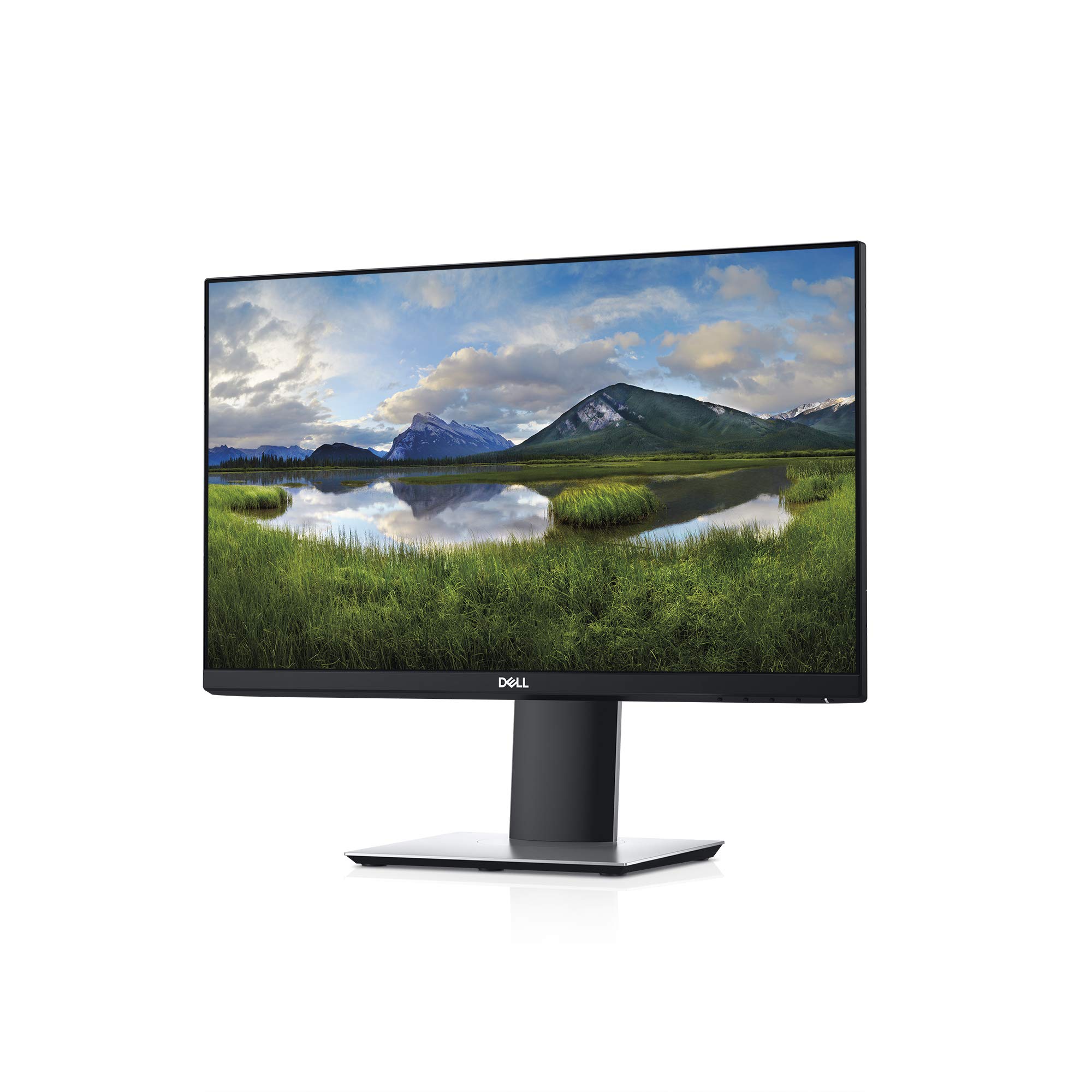 P2219H Widescreen LCD Monitor