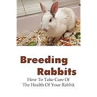 Breeding Rabbits: How To Take Care Of The Health Of Your Rabbit