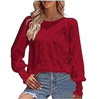 Women’s Casual Tops Crewneck Lantern Long Sleeve Tunics Casual T Shirt Tee Top Solid Color Loose Fit Workout Blouses