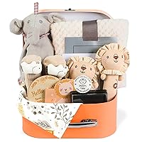 Baby Gift Set Baby Shower Gifts Basket for Newborns 11PCS New Born Baby Gift Set with Baby Blanket Rattle, Milestone Security Blanket Decision Coin & Towels Socks Essentials for Baby Girls Boys