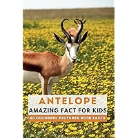 Antelopes: Amazing Fact for Kids (Picture Book) Antelopes: Amazing Fact for Kids (Picture Book) Paperback