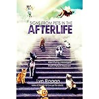Signs From Pets In The Afterlife: Identifying Messages From Pets in Heaven