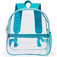 Mini Clear Backpack 12