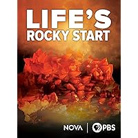 Life's Rocky Start