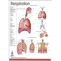 Respiration, Double-sided Chart of the Lungs and Larynx, Speech Language Pathology, Card, SLP