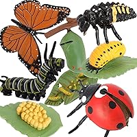 Gemini&Genius Insects Animals Figurine Toys, Butterfly and Ladybug Life Cycle Set- Realistic Education Insects Life Action Figures- Great for Learning, Cake Toppers, Stocking Stuffers for Kids(8Pcs)