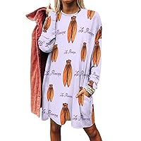Midsummer Cicada Women's Long Sleeve T-Shirt Dress Casual Tunic Tops Loose Fit Crewneck Sweatshirts with Pockets