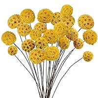 24 PCS Dried Craspedia Billy Balls Flowers, 18” Natural Dried Flowers Bouquet for Vase Floral Arrangements Wedding Table Centerpieces Party DIY Home Decor (Yellow)