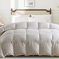 Goose Feather Down Comforters Duvet Inserts - White Duvet Comforter Insert for All Seasons, Oversized Down Comforter with Fluffy 34oz Down Filled (Grey, Queen Winter (90
