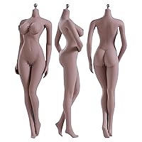 HiPlay 1/6 Scale Female Seamless Action Figures-Medium Bust, Super Flexible Figure Body(S06B)