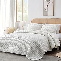 3-Piece King Quilt Set - Soft Warm Ultrasonic Reversible Coverlet Bedspread Set (104 x 90 Inch) with 2 Pillow Sham (20 x 36 Inch), White