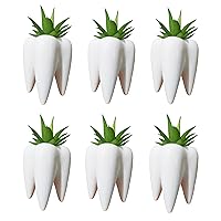 6 Pcs 3.93 Inches Tall Tooth Shaped Ceramic Succulent Cactus Flower Pot (Plants Not Included)