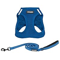 Voyager Step-in Air All Weather Mesh Harness and Reflective Dog 5 ft Leash Combo with Neoprene Handle, for Small, Medium and Large Breed Puppies by Best Pet Supplies - Set (Royal Blue), S