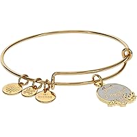 Alex and Ani Bridal Expandable Bangle for Women, Wedding Charms, Shiny Finish, 2 to 3.5 in, Adjustable Chain Charm Bangle 6.5 to 8 in