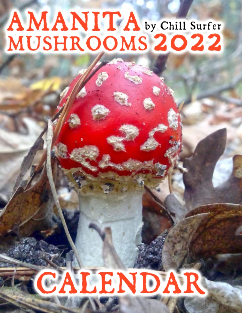 Mua Amanita Mushrooms Calendar Illustrated Calendar with Beautiful and