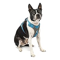 Kurgo K01933 Dog Harness for Large, Medium, & Active Dogs, Pet Hiking Harness for Running & Walking, Everyday Harnesses for Pets, Reflective, Journey Air, Blue/Grey 2018, Small