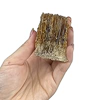 Room Decoration Natural Crystal raw Material Amber Honey Calcite Crystal Cluster Home Improvement (Size : 1.5-2 Inch)