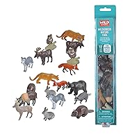 Wilderness Nature Tube, Woodland Animals, Forest Animal Figures, Kids Gifts, Educational Toys, 12-Pieces