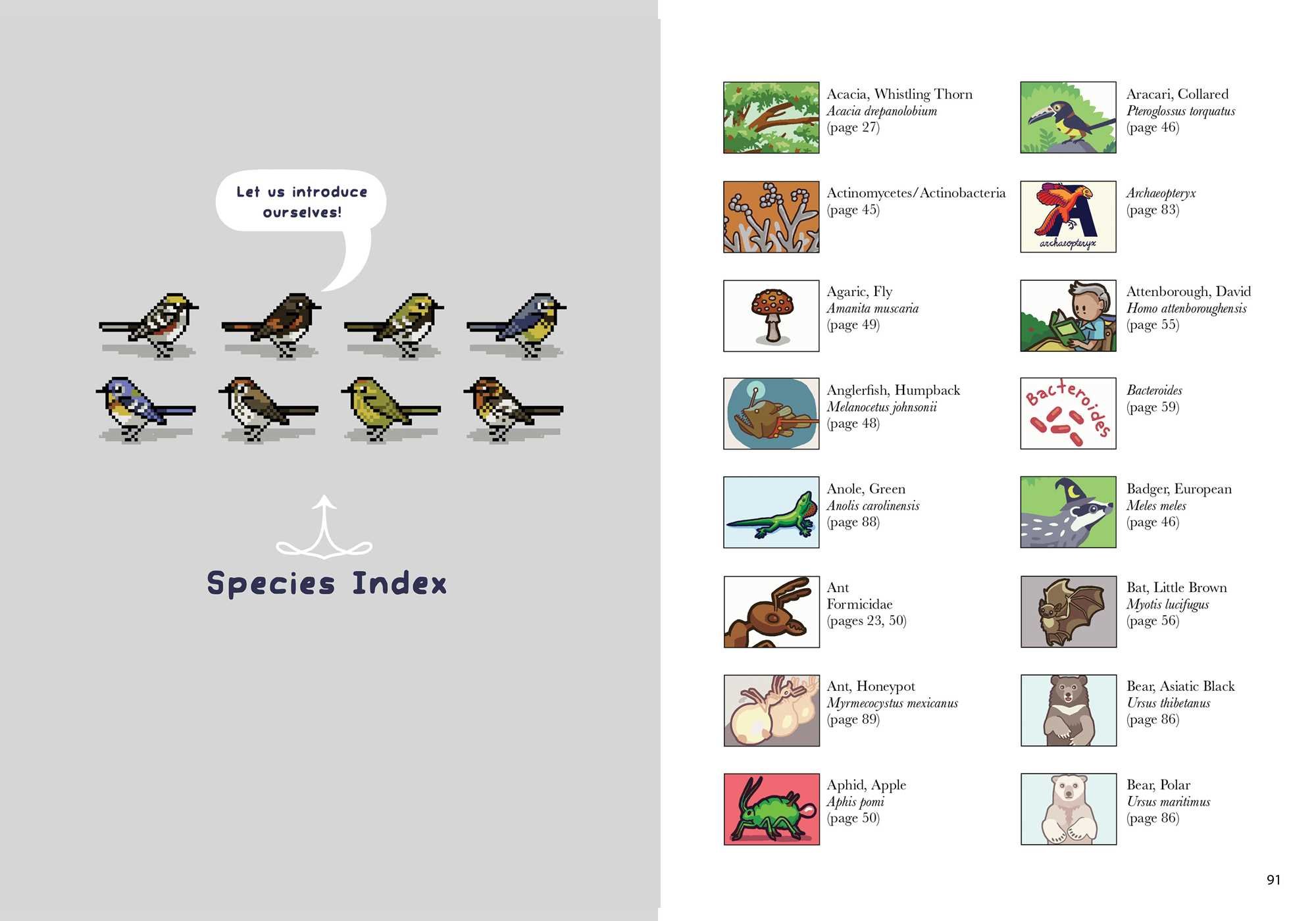 Birding Is My Favorite Video Game: Cartoons about the Natural World from Bird and Moon