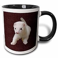 3dRose Baby Albino Ferret-Two Tone Black Mug, 11-Ounce, Multicolored