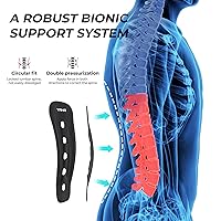 Back Brace for Lower Back Pain Women/Men, Back Support for Work, Heavy Lifting with Ergonomic Lumbar Pad, Breathable Lumbar Support Belt with 5 Stays for Sciatica, Herniated Disc, Scoliosis - XL