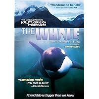 The Whale The Whale DVD