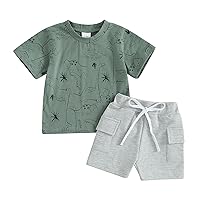 Toddler Boy Summer Clothes Dinosaur Baby Boy Outfit Short Sleeve T-Shirt Tops Cargo Shorts Set Jogger Outfit