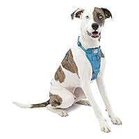 Kurgo Tru-Fit Smart Harness, Dog Harness, Pet Walking Harness, Quick Release Buckles, Front D-Ring for No-Pull Training, Includes Dog Seat Belt Tether (Blue, Medium)