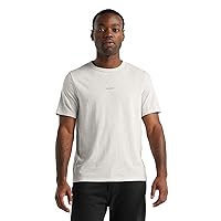 Icebreaker Merino Men's Central Short Sleeve Wool Logo T-Shirt - Basic Casual Shirt, Ecru HTHR, Small