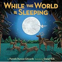 While The World Is Sleeping While The World Is Sleeping Hardcover