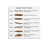 Bristol Stool Chart Diagnosis Constipation Diarrhea Bristol Stool Chart Poster (10) Canvas Painting Posters And Prints Wall Art Pictures for Living Room Bedroom Decor 12x12inch(30x30cm) Unframe-style