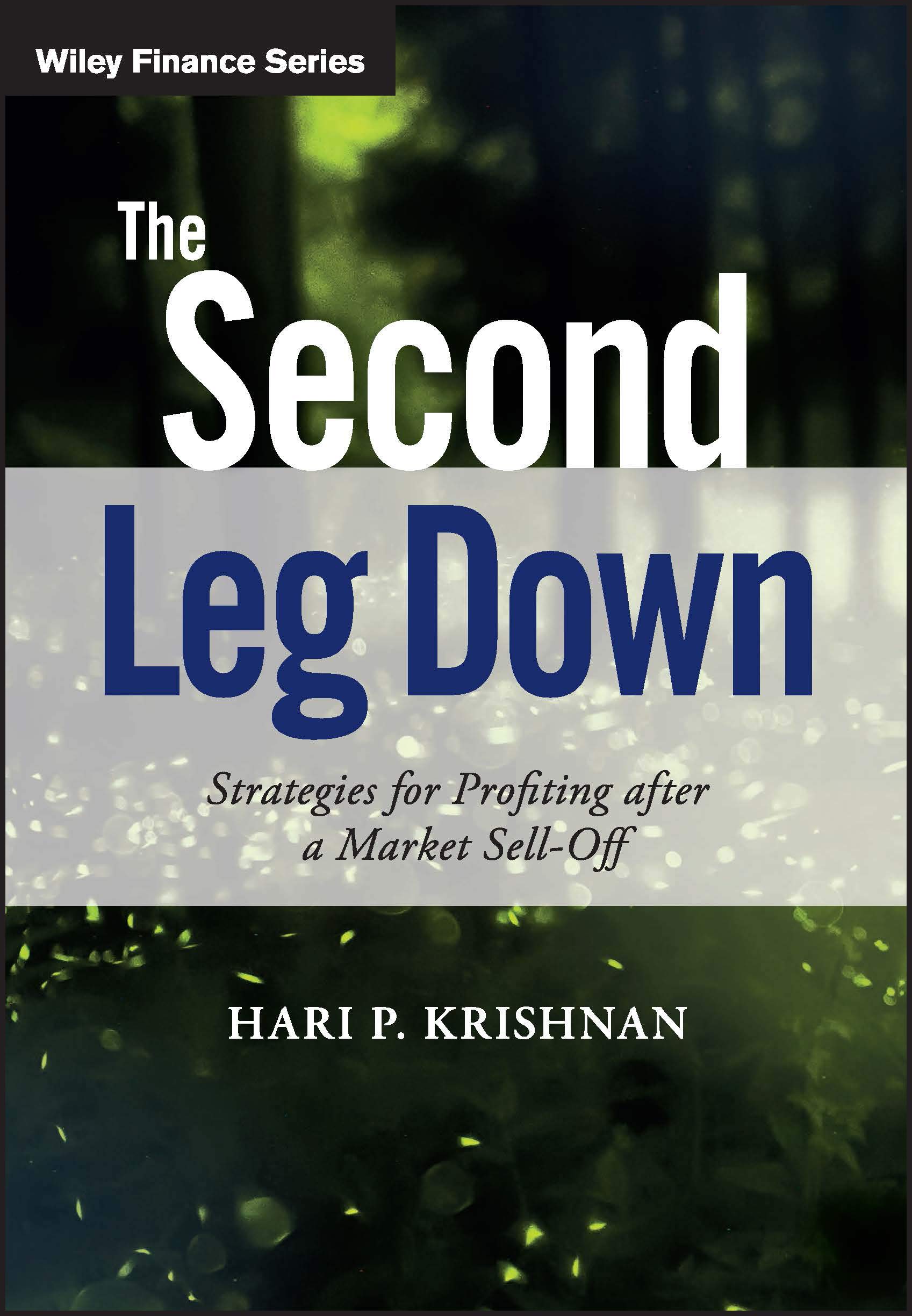 The Second Leg Down: Strategies for Profiting after a Market Sell-Off (The Wiley Finance Series)
