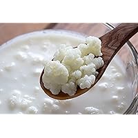 Organic Milk Kefir Grains