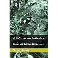 Multi-Dimensional Meditations: Dipping Into Quantum Consciousness Multi-Dimensional Meditations: Dipping Into Quantum Consciousness Paperback Kindle Hardcover