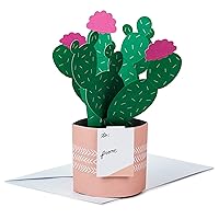 Hallmark Paper Wonder Pop Up Card (Potted Cactus) for Mother's Day, Birthday, Thinking of You, Congrats, Get Well, Appreciation, Any Occasion