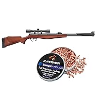 Stoeger S6000-E Combo - .22 Caliber - Hardwood with X-Power Dome Pointed Pellets