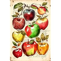 Unframed Canvas Painting Apple Knowledge Beautiful Picture Posters,Unframed Wall Art Prints Wall Art For Living Room - For Home Decor Wall Decor Room Decor Art Gifts 16x20Inch