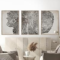DOLUDO Modern Neutral Abstract Tree Rings Wall Art Set of 3 Prints Grunge Wood Tree Stump Poster Painting Pictures for Living Room Home Decor Ready To Hang