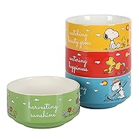 Peanuts Snoopy 4 Pack Stackable 5.5