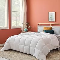 White Down Alternative Comforter and Duvet Insert - All-Season Comforter - Box Stitched Comforter - Bedding for Kids, Teens, and Adults - Queen