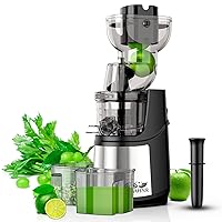 AHNR Cold Press Juicer Machines,300W Slow Masticating Juicer Machines Vegetable and Fruit with 3.54