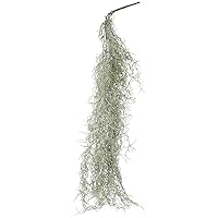 Simulated Hanging Vine Moss Hanging Moss Vines Hanging Moss Garland Fake Moss Green Moss for Planters Reindeer Moss Faux Vines Fake Air Plants Plastic Wedding Material