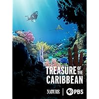Treasure of the Caribbean