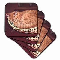 3dRose CST_83708_1 Orange Tabby Cat Asleep in an Easter Basket-Na02 Csl0214-Charles Sleicher-Soft Coasters, Set of 4