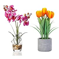Jusdreen 2 Potted Artificial Tulips and Orchid Flower Bonsai with Glass Vase Vivid Flowers for Home Office Décor Table Centerpiece House Decorations