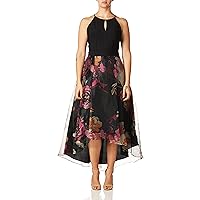 S.L. Fashions Women's Floral Print Skirt Dress 9141199