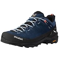 Salewa Men's Camping and Hiking Shoes