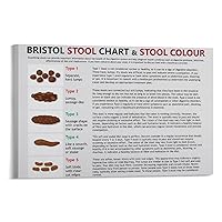 QFDWJP Bristol Stool Chart Diagnosis Constipation Diarrhea Chart Art Poster Canvas Poster Bedroom Decor Office Room Decor Gift Frame-style 36x24inch(90x60cm)