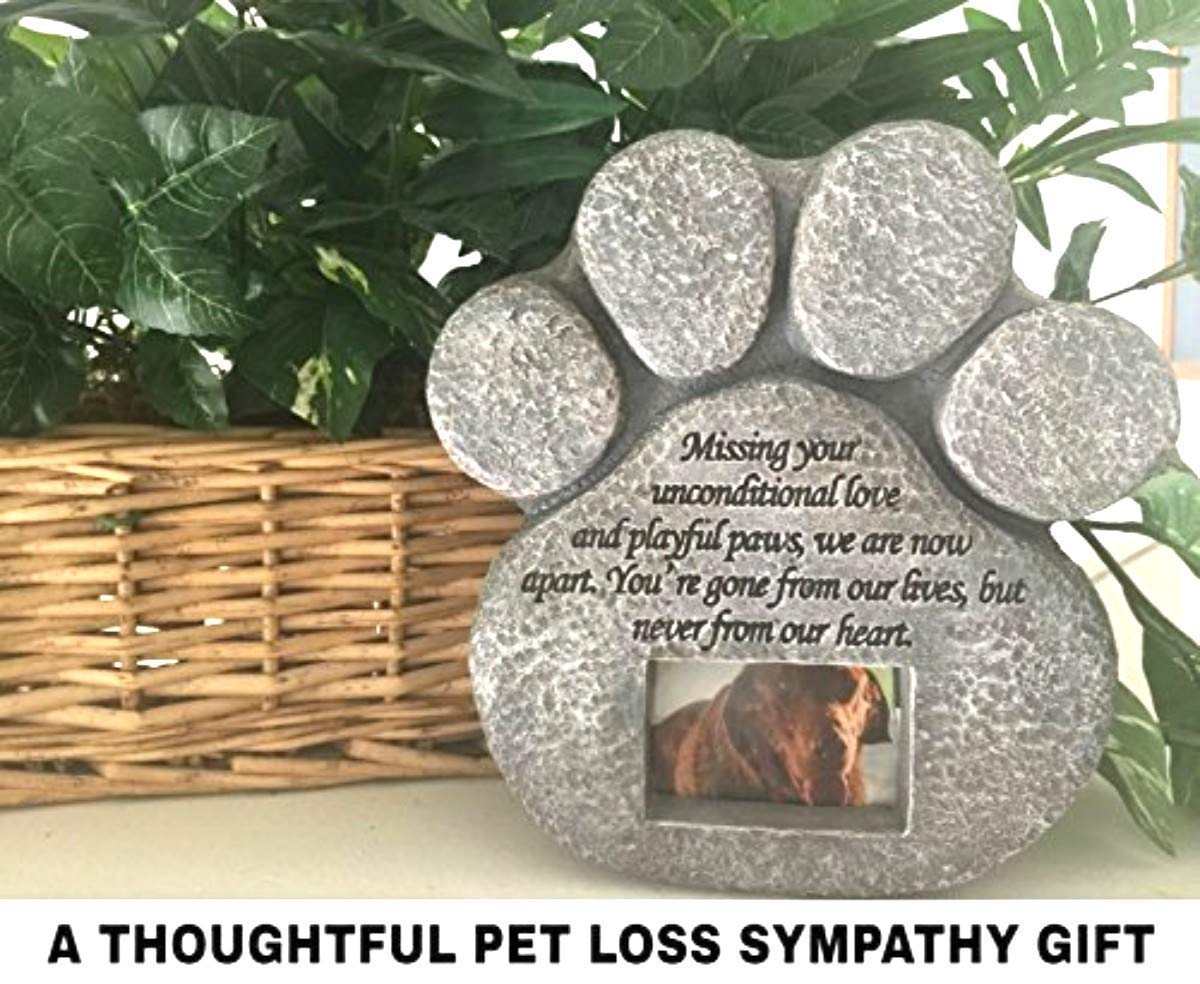 PAWPRINTS REMEMBERED Pet Memorial Stone with Picture Frame 