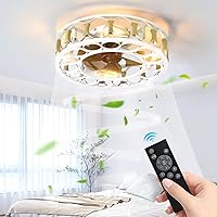 Caged Ceiling Fan with Lights Remote Control, Flush Mount Farmhouse Modern Ceiling Fans, 6 Speeds Reversible Blades, 4 LED Bulbs Included for Bedroom Living Room